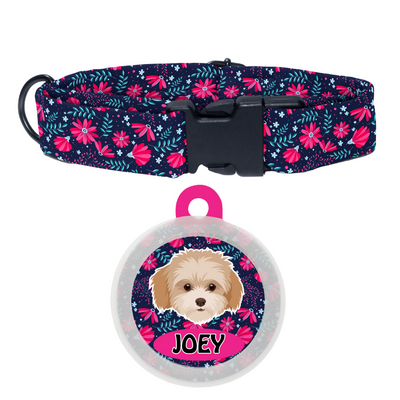 Maltipoo White-Brown - Collar & Tag