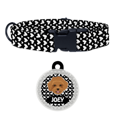 Maltipoo Brown - Collar & Tag