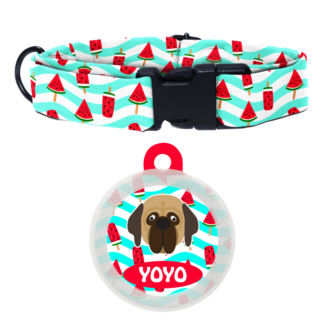 Mastiff  - Collar & Tag