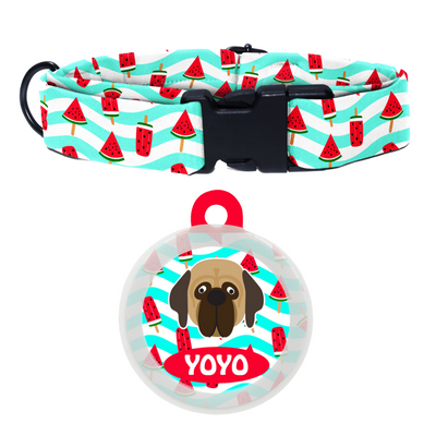 Mastiff  - Collar & Tag