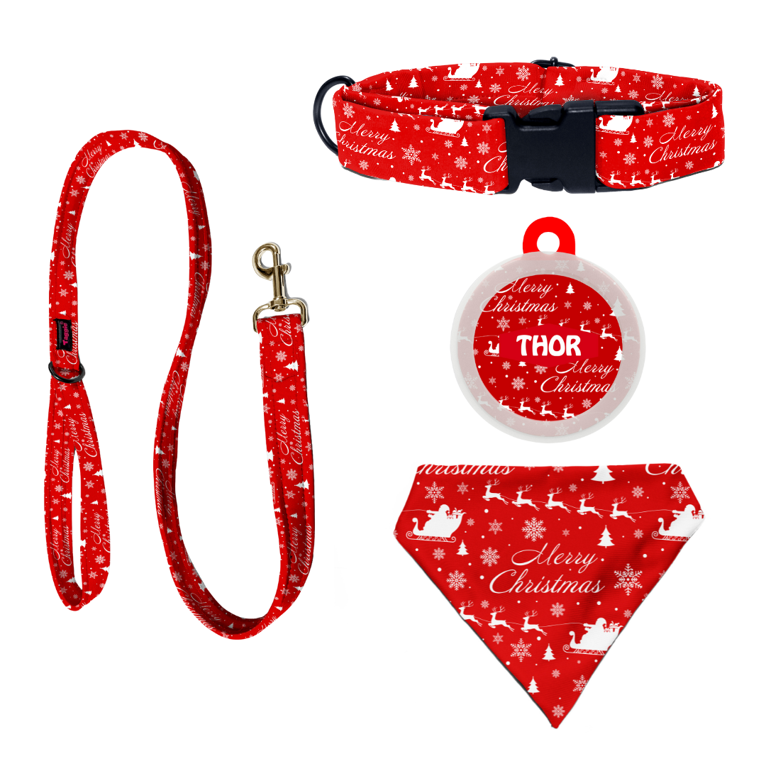 Merry Christmas - Complete Christmas Set