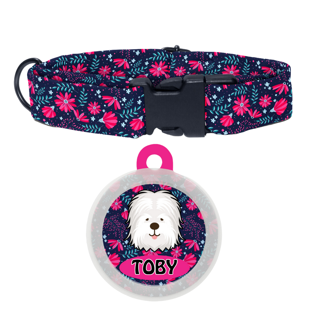 Old English Sheepdog  - Collar & Tag