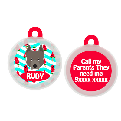 Pit Bull  - Collar & Tag