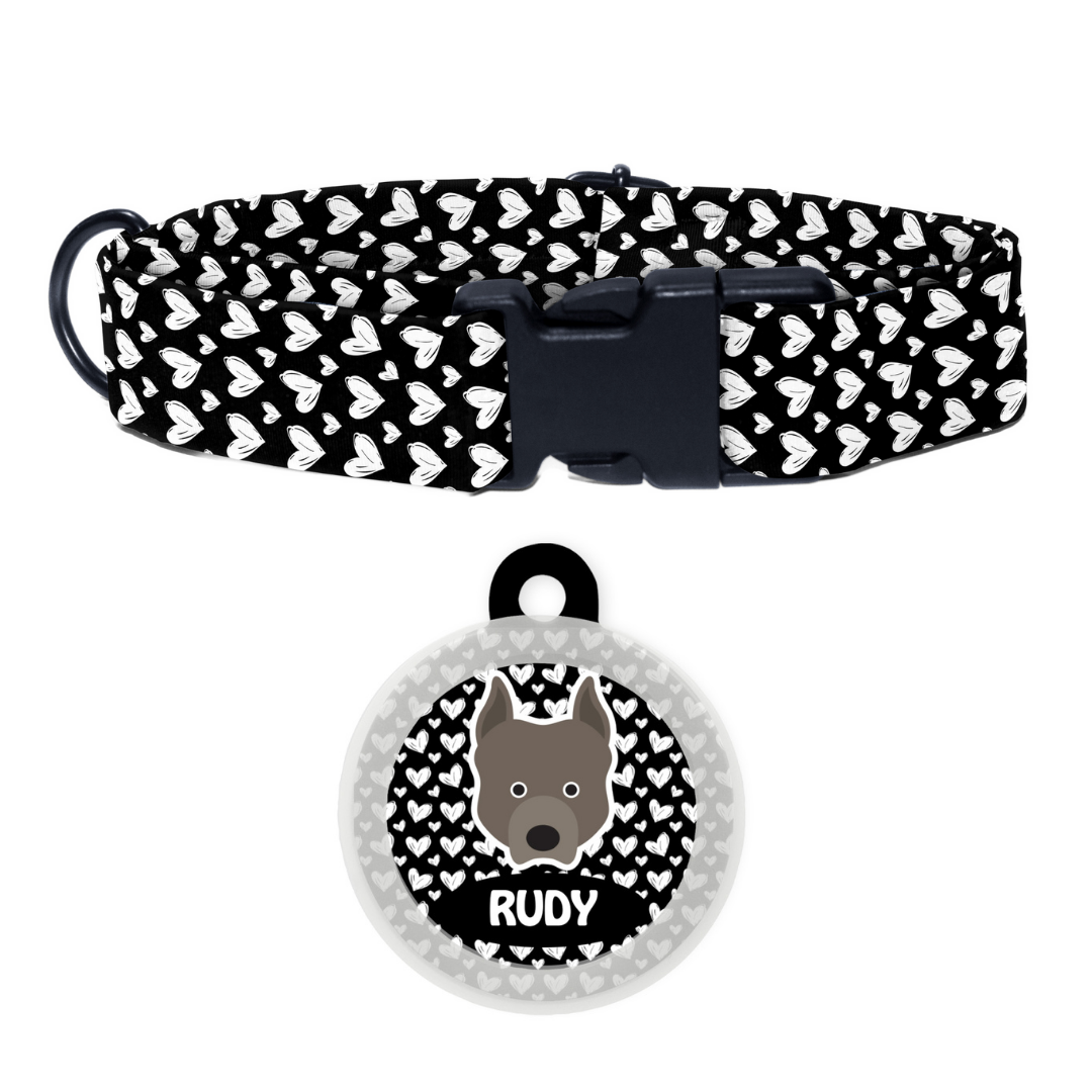 Pit Bull  - Collar & Tag