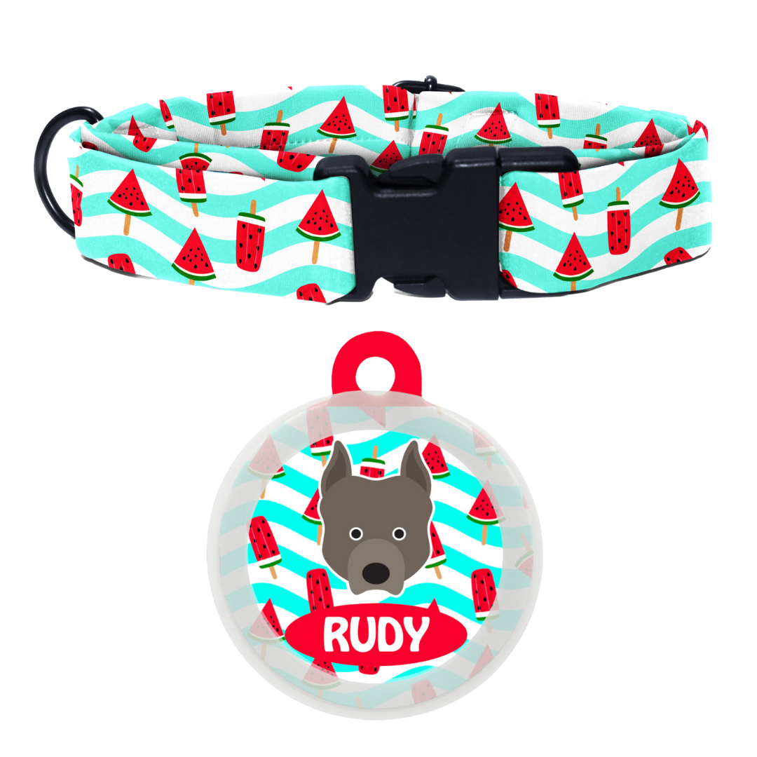 Pit Bull  - Collar & Tag