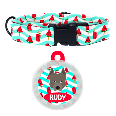 Pit Bull  - Collar & Tag
