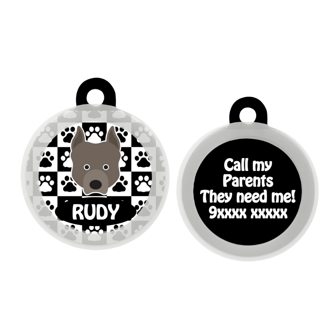 Pit Bull  - Collar & Tag