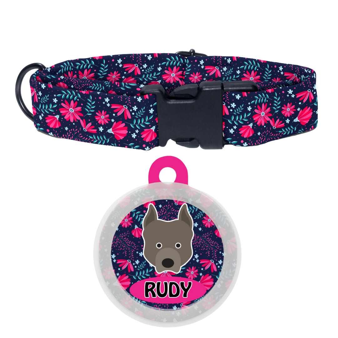 Pit Bull  - Collar & Tag