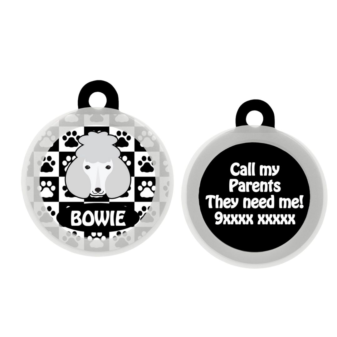 Poodle - White - Collar & Tag