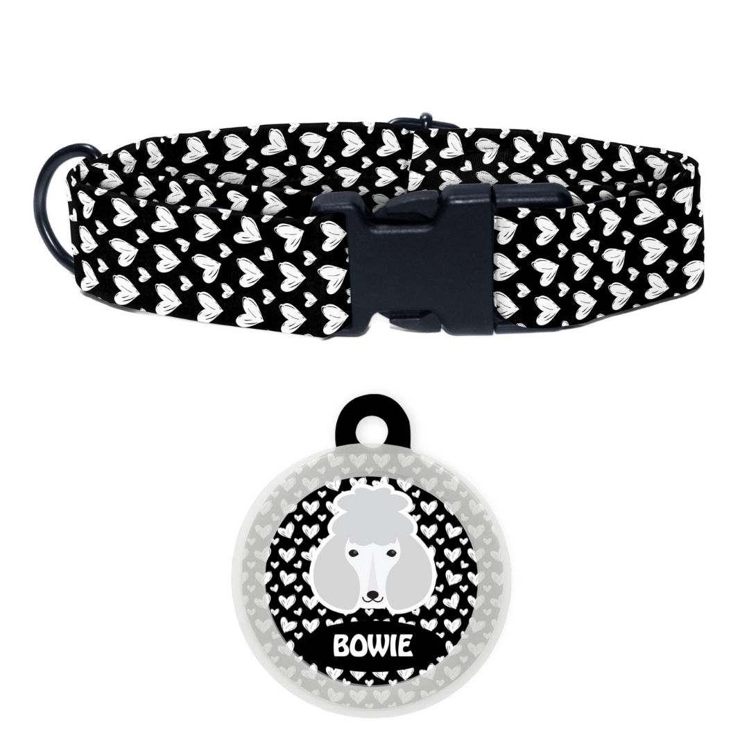 Poodle - White - Collar & Tag