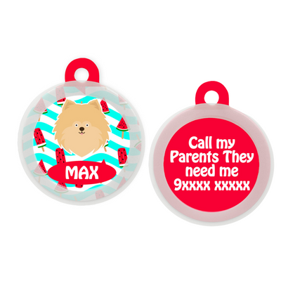 Pomeranian - Collar & Tag