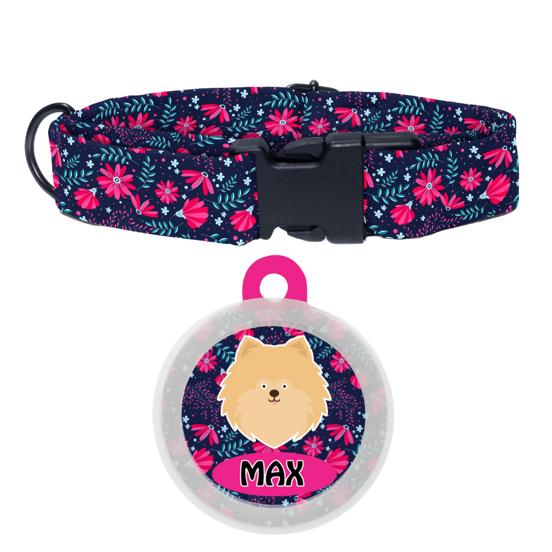 Pomeranian - Collar & Tag