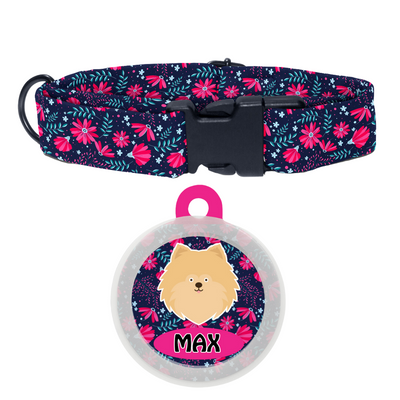 Pomeranian - Collar & Tag