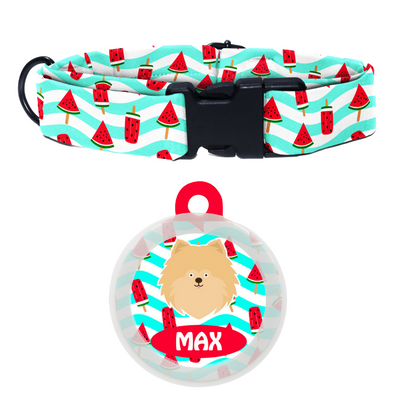 Pomeranian - Collar & Tag
