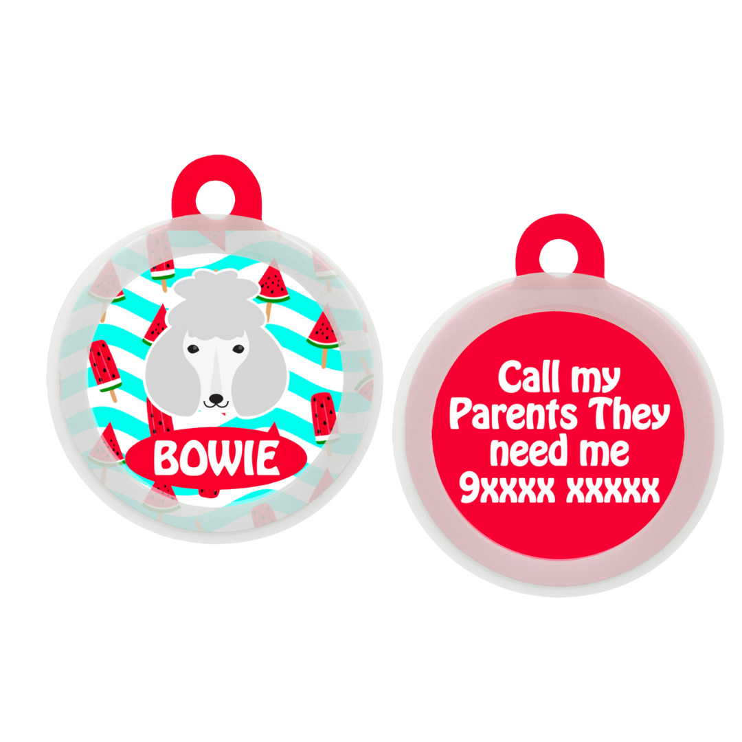 Poodle - White - Collar & Tag