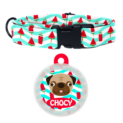 Pug - Collar & Tag
