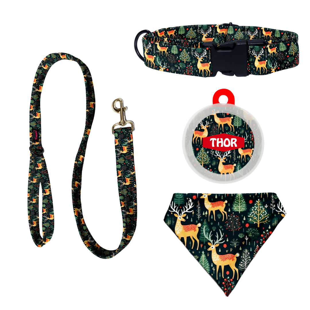 Reindeer Ready - Complete Christmas Set