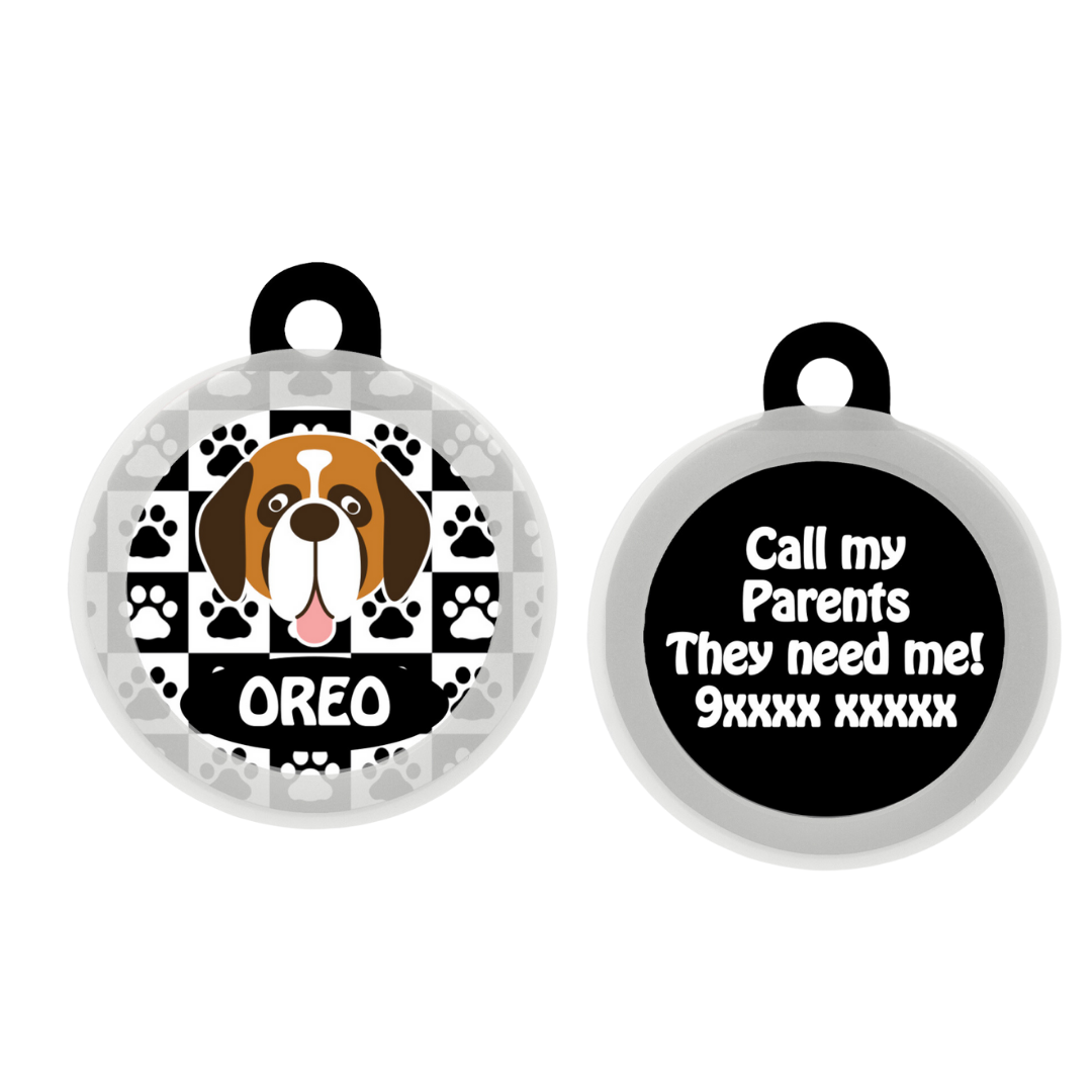 Saint Bernard - Collar & Tag