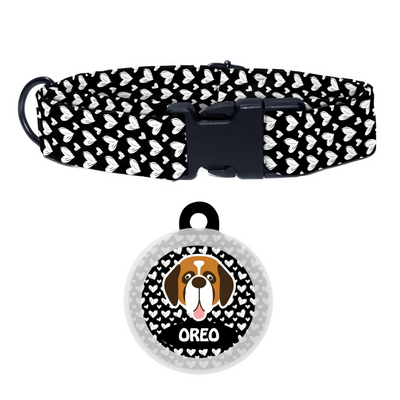 Saint Bernard - Collar & Tag