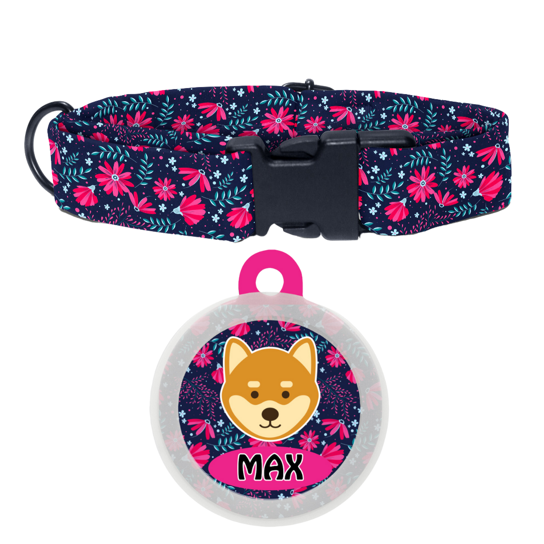 Shiba  - Collar & Tag