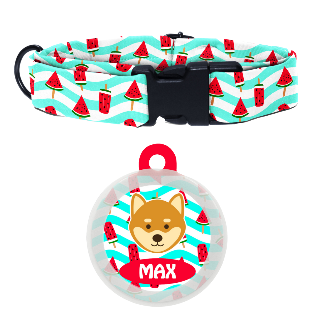 Shiba  - Collar & Tag