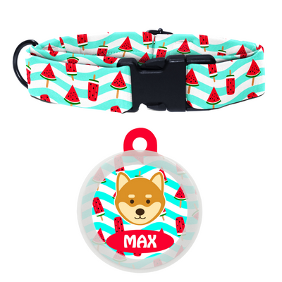 Shiba  - Collar & Tag