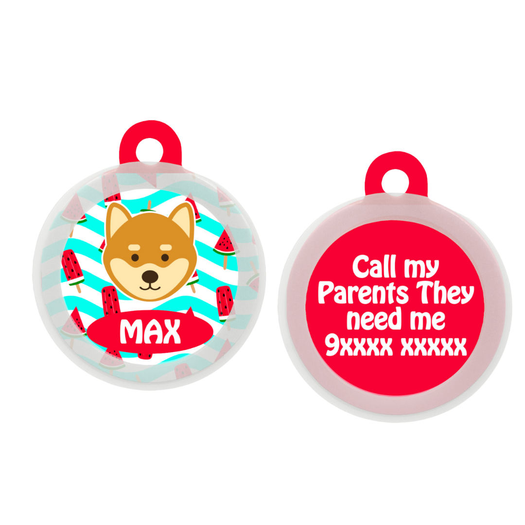 Shiba  - Collar & Tag
