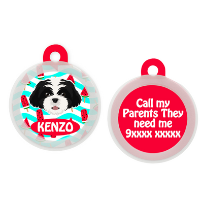 Shih Tzu (Black & White)   - Collar & Tag