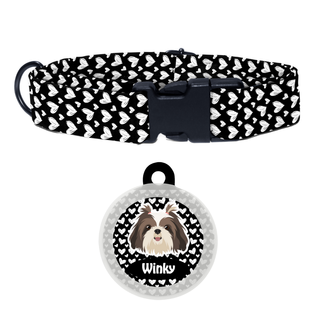 Shih Tzu (Long Hair) - Collar & Tag