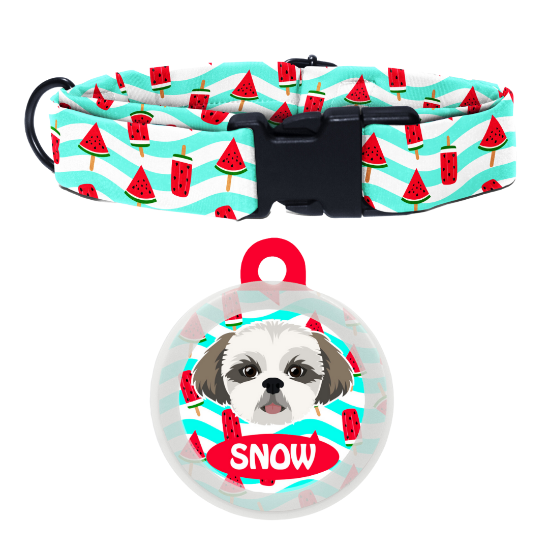 Shih Tzu  - Collar & Tag