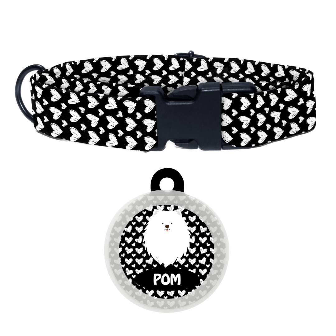 Spitz - Collar & Tag