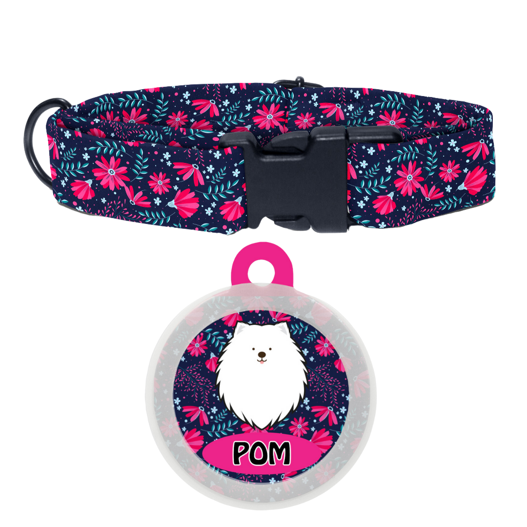 Spitz - Collar & Tag