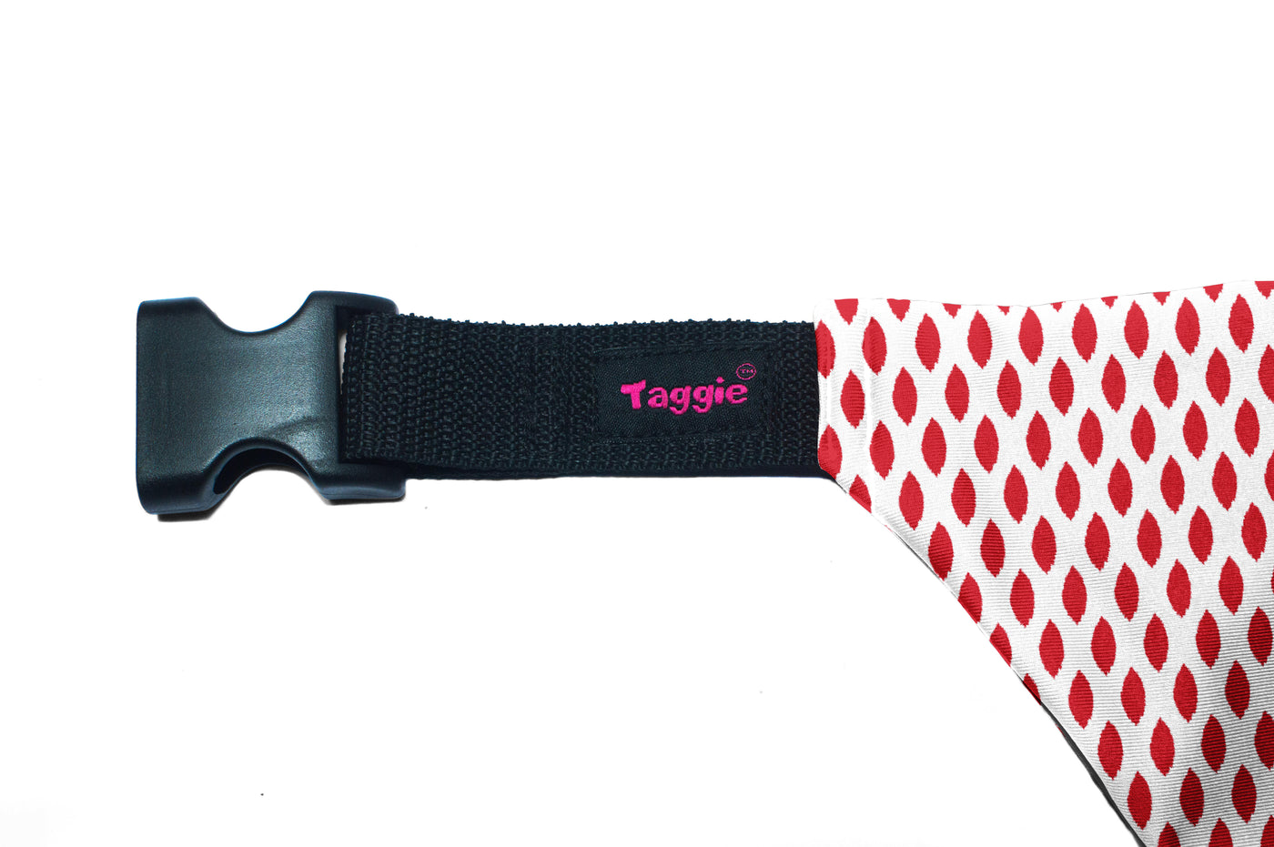 Paisley Pride - Bandana