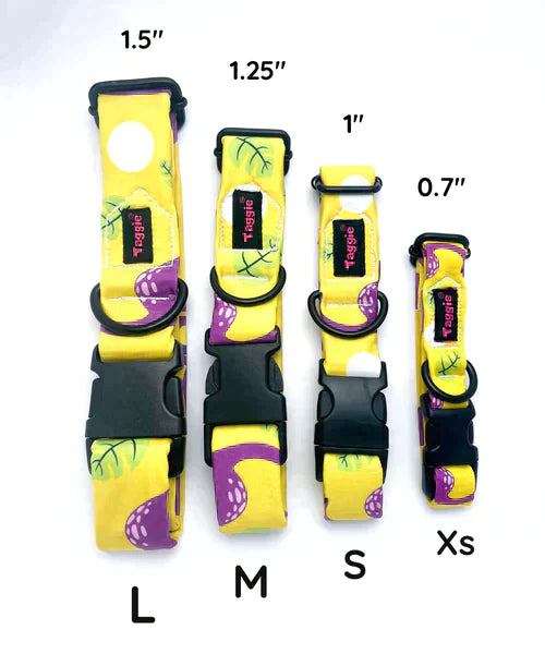 Military Marvel - Collar & Tag