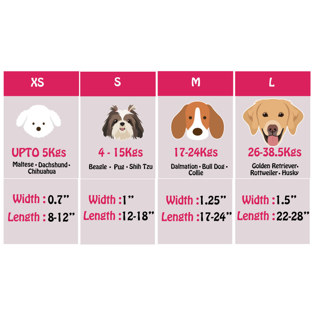 Military Marvel - Collar & Tag