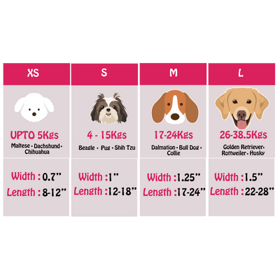 Military Marvel - Collar & Tag