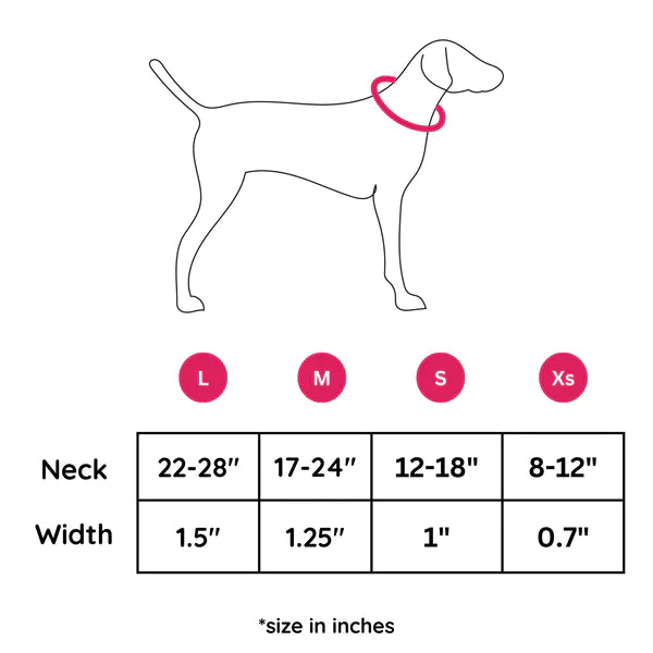 Bubble Bash - Collar & Tag
