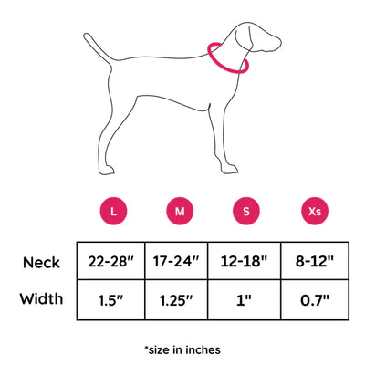 Bubble Bash - Collar & Tag