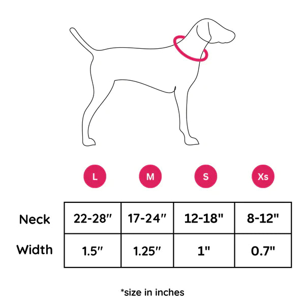 Sagittarius - Collar & Tag