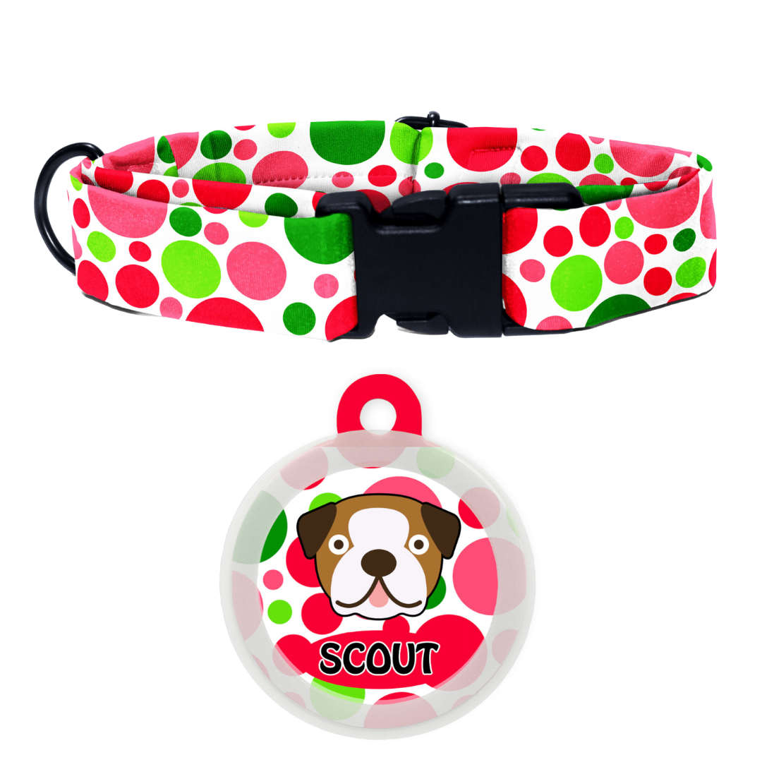 Bull Dog - Collar & Tag