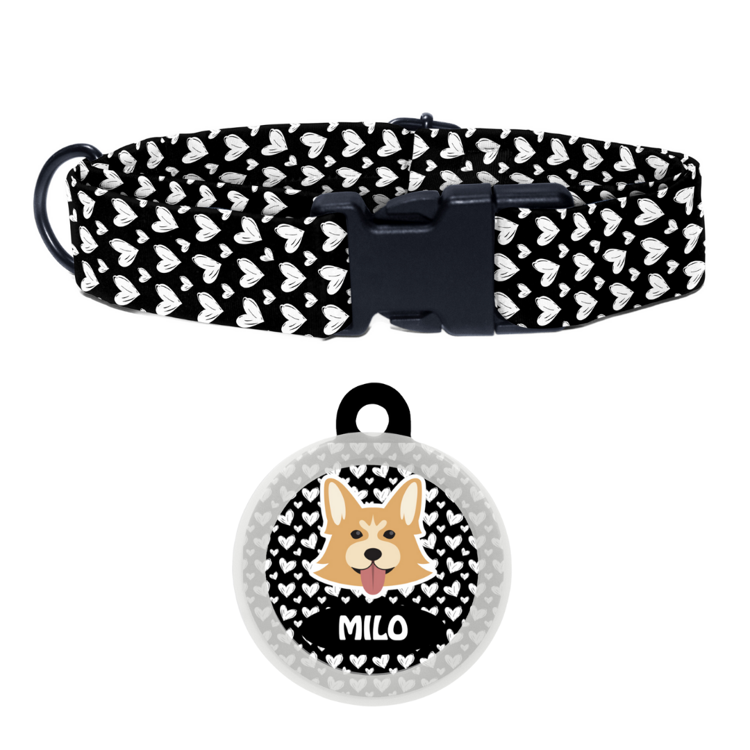 Welsh Corgi - Collar & Tag