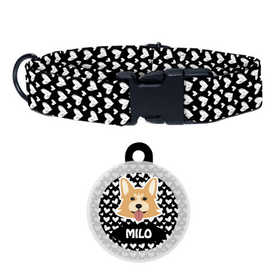 Welsh Corgi - Collar & Tag