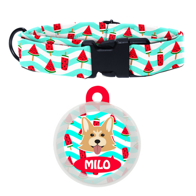 Welsh Corgi - Collar & Tag