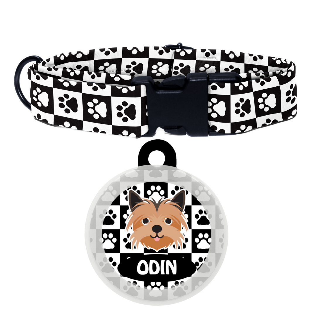 Yorkshire Terrier  - Collar & Tag