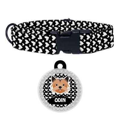 Yorkshire Terrier  - Collar & Tag