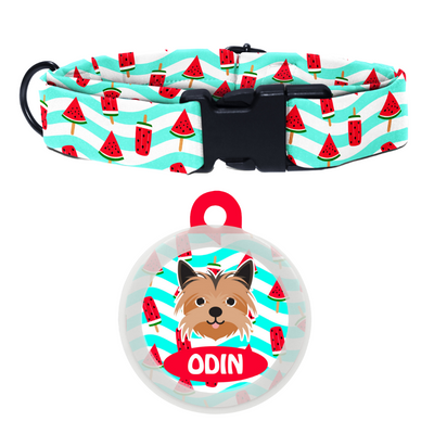 Yorkshire Terrier  - Collar & Tag