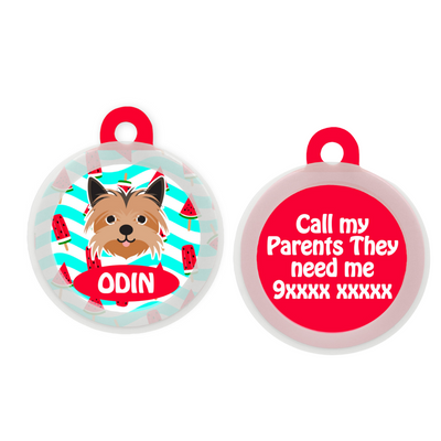 Yorkshire Terrier  - Collar & Tag