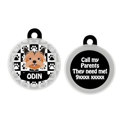 Yorkshire Terrier  - Collar & Tag