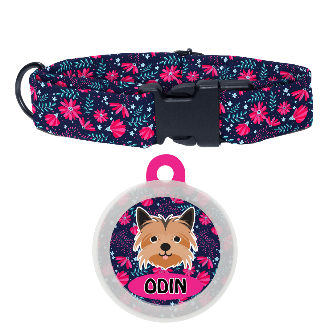 Yorkshire Terrier  - Collar & Tag