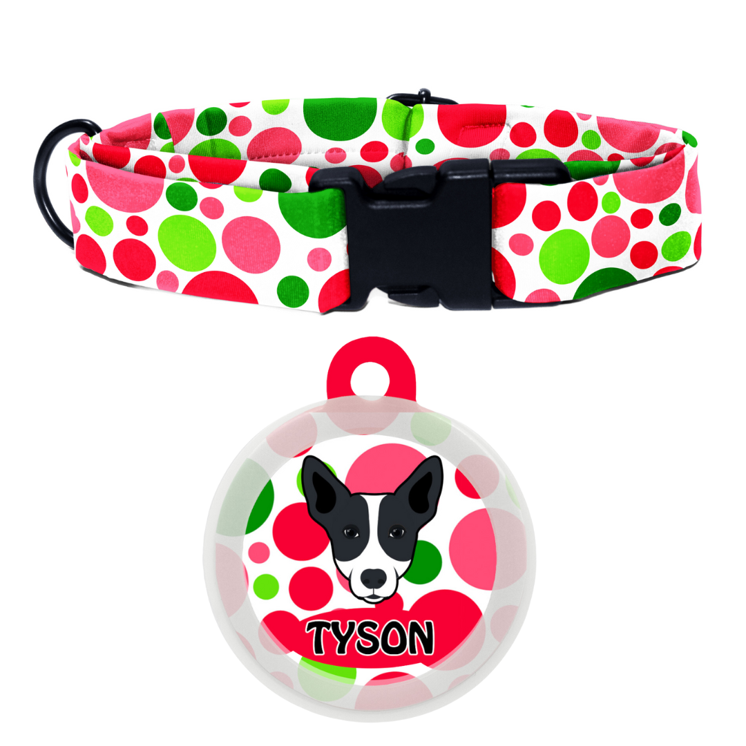 Indie BR (ears down)  - Collar & Tag